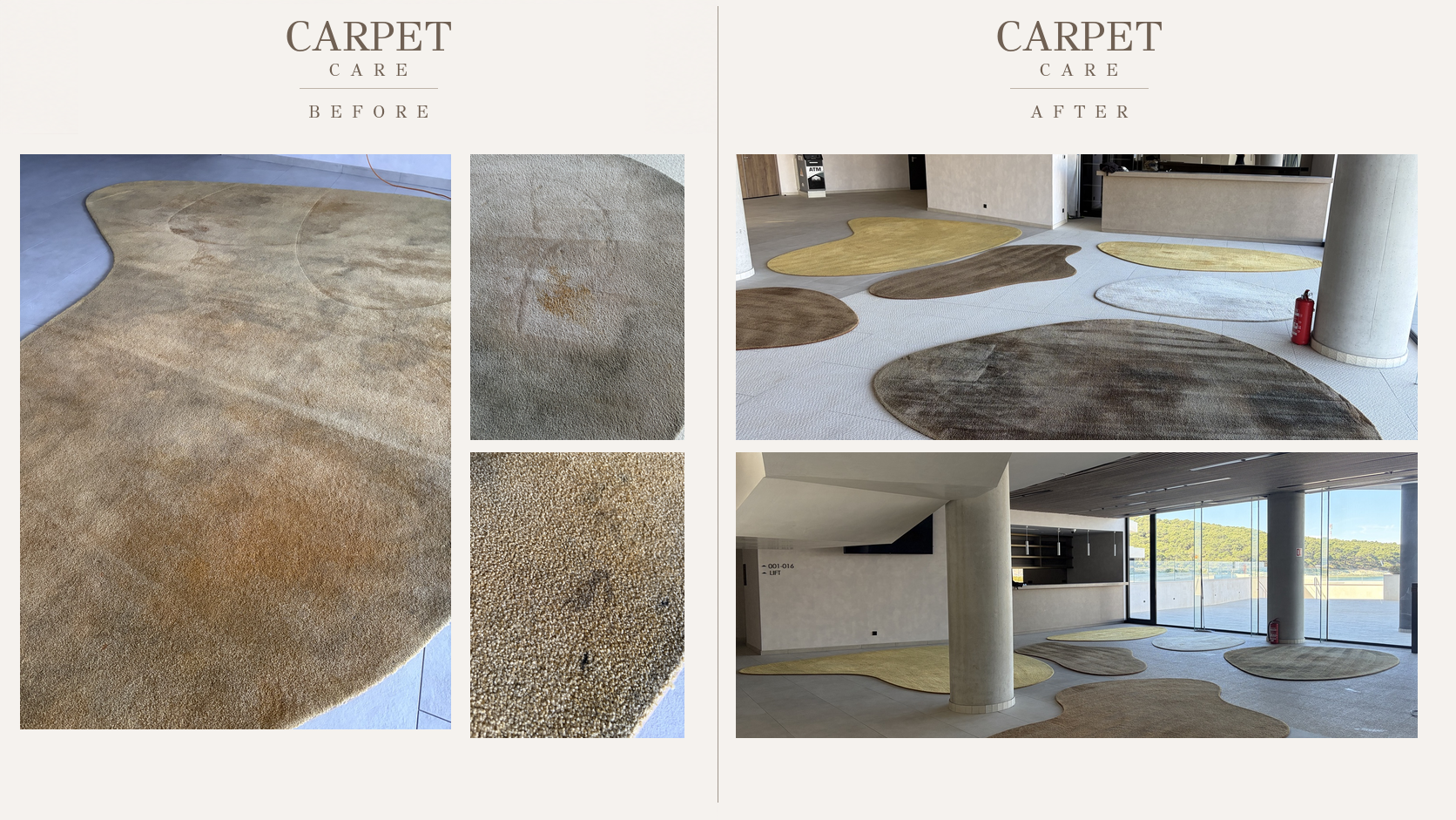 CARPET CARE: original before and after project photographs